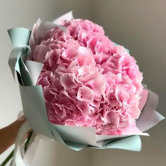 5 розовых гортензий 5 розовых гортензий