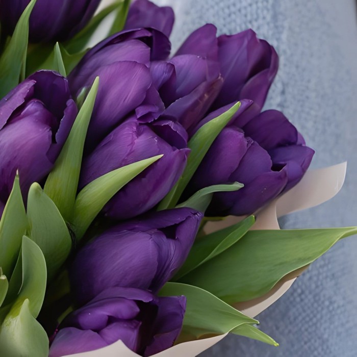Букет 15 фиолетовых тюльпанов