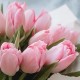 Букет 15 розовых тюльпанов