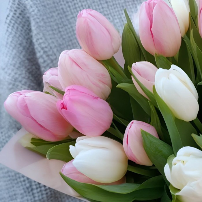 25 розовых и белых тюльпанов