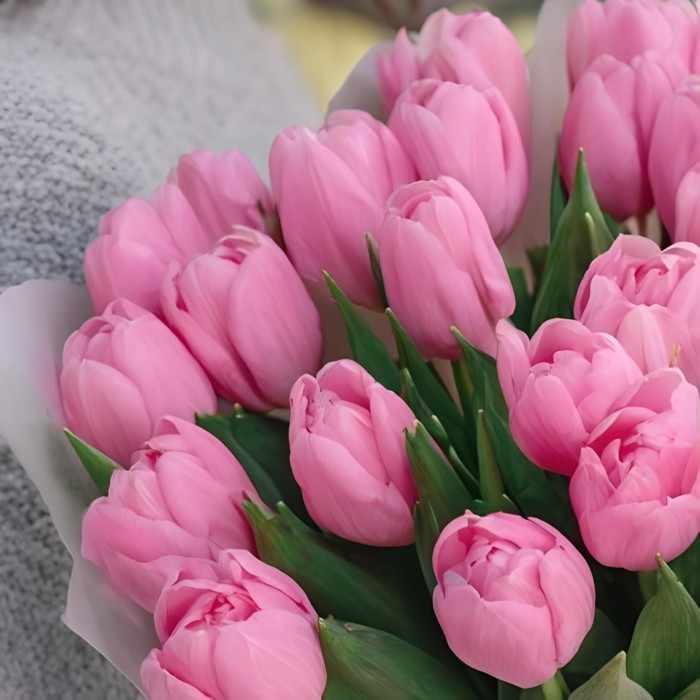 25 розовых тюльпанов