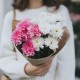 3 бело-розовые хризантемы