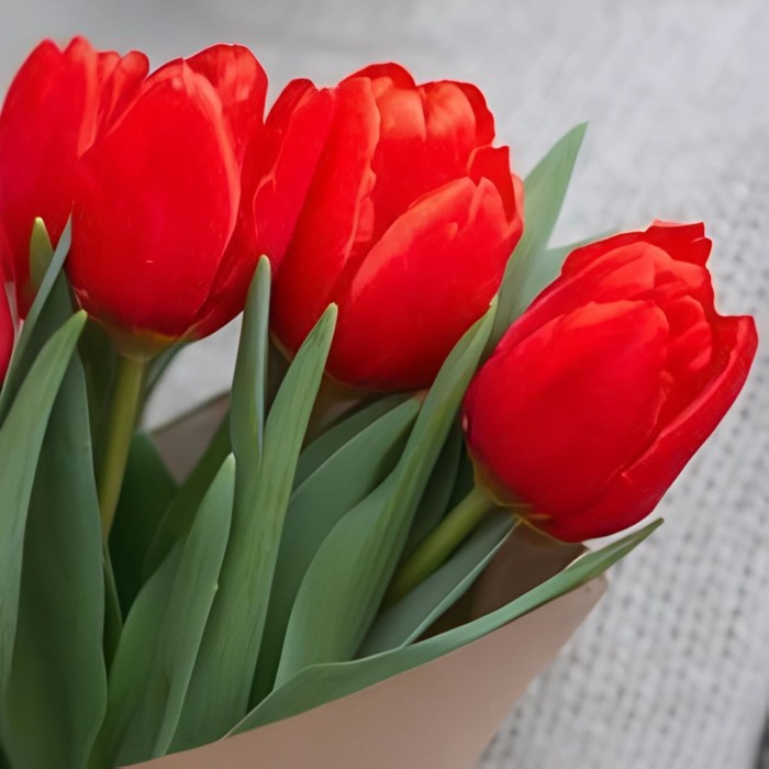 Букет 5 красных тюльпанов