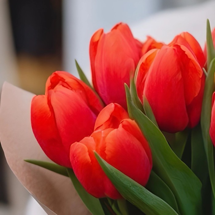 Букет 7 красных тюльпанов