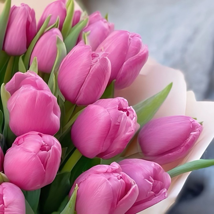 Букет из 27 тюльпанов