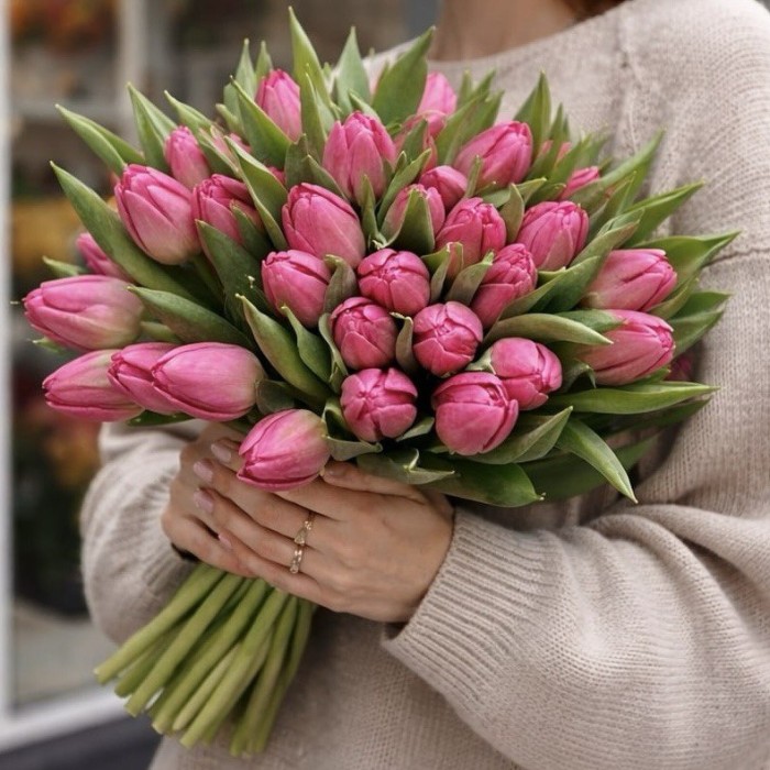 Тюльпан розовый