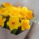 Букет 9 нарциссов с эвкалиптом