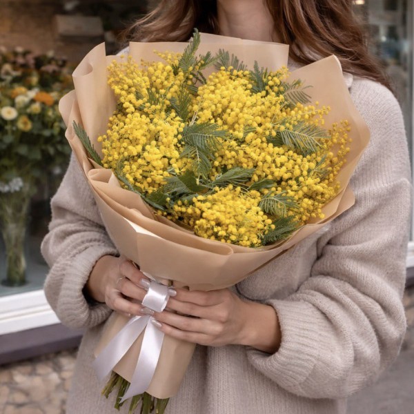 Мимоза 5 пучков