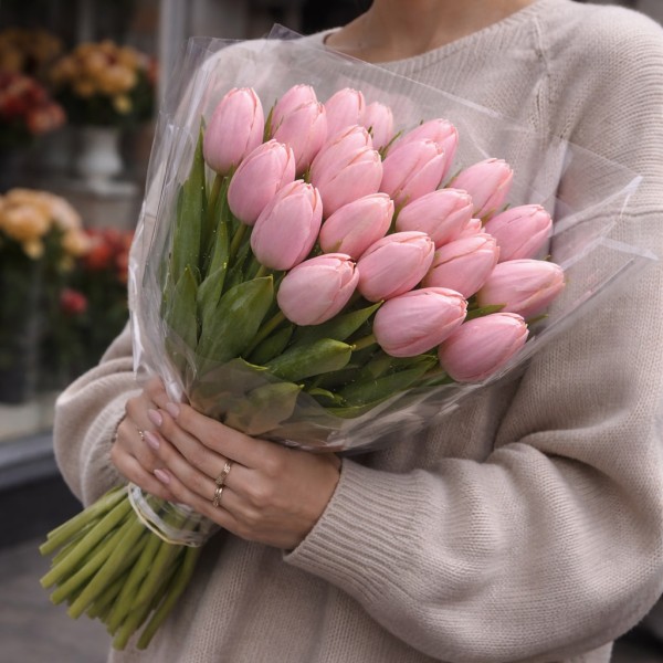 Тюльпан Тиш Бутс